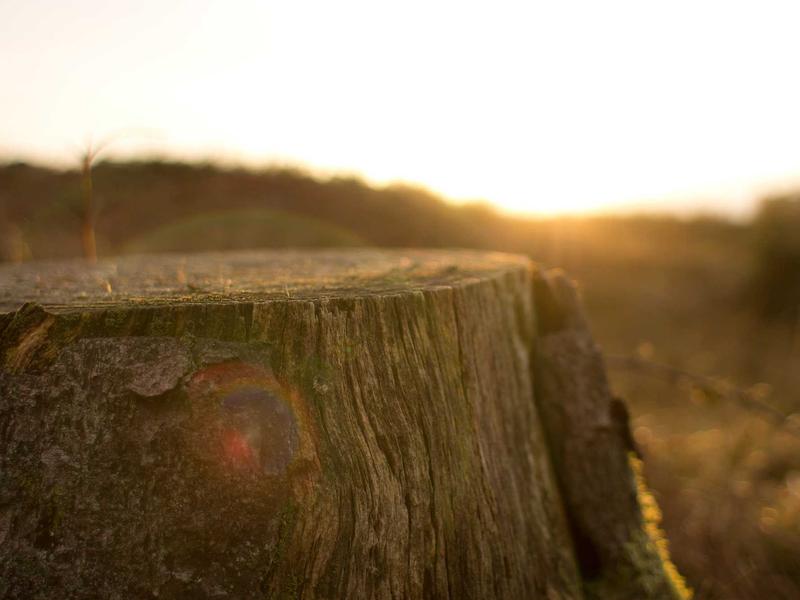 sudoku solving methods screenshot 3
